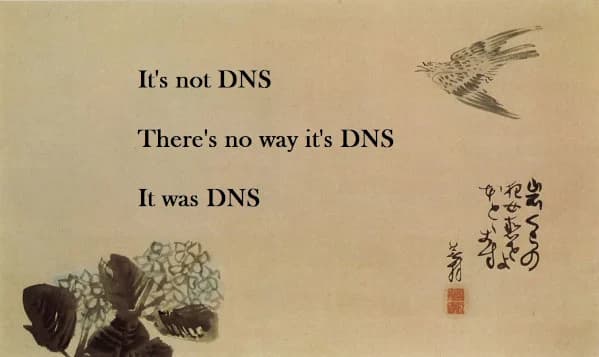 已故的丹·卡明斯基早在2008年就发现了DNS的一个根本缺陷，他宣称“总是DNS”。一个流行的俳句也表达了类似的情绪。